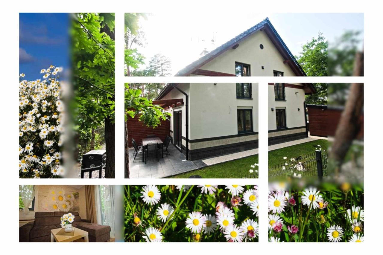 Daisy - Sunny Flowers Apartments Łukęcin 외부 사진